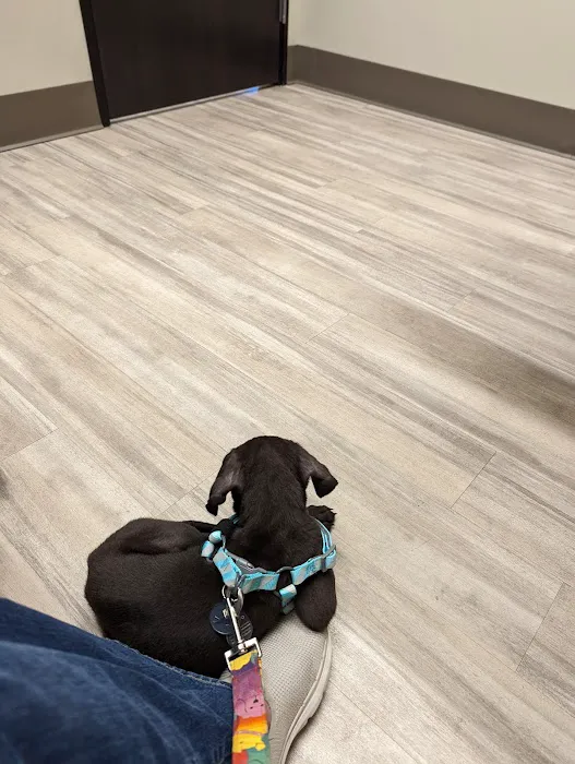 Parkway Animal Clinic Picture 4