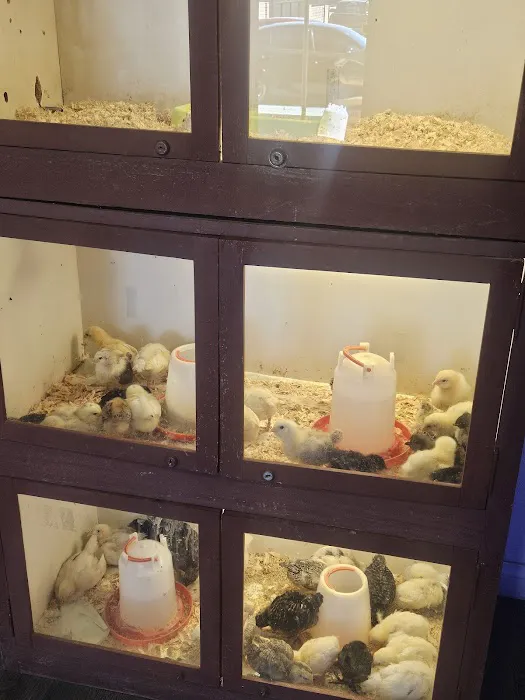 Midway Feed & Pet Store Picture 2