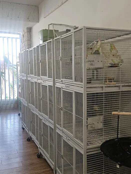 Midway Feed & Pet Store Picture 6
