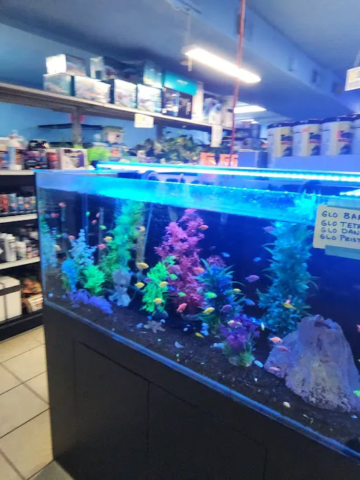 Three Little Fish Picture 2