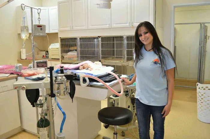 Desert Hills Animal Clinic Picture 7