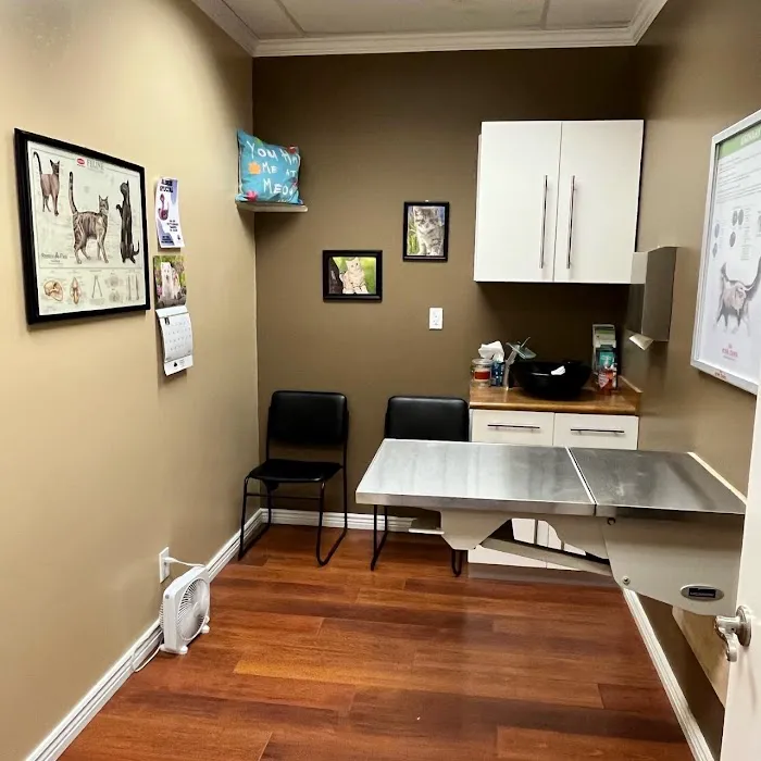 Desert Hills Animal Clinic Picture 9