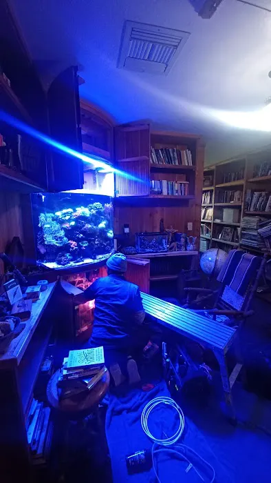 Aquarium Services LLC Picture 5