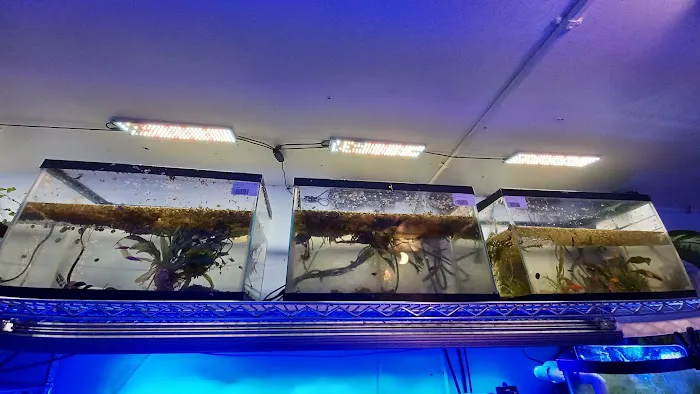 Aquarium Services LLC Picture 2