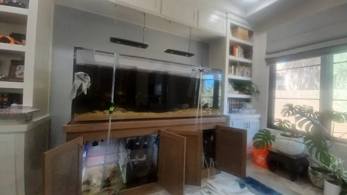 Aquarium Services LLC Picture 8