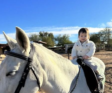 Cave Creek Equine Sports Medicine & Surgery