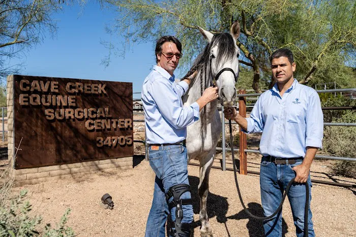 Cave Creek Equine Sports Medicine & Surgery Picture 3