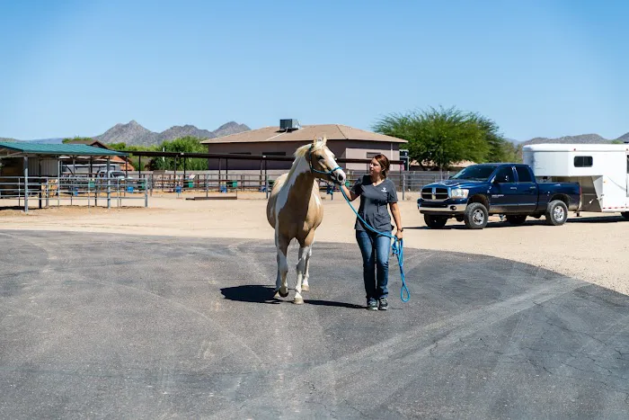 Cave Creek Equine Sports Medicine & Surgery Picture 4