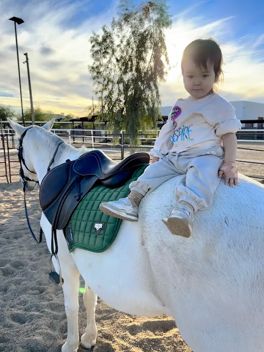 Cave Creek Equine Sports Medicine & Surgery Picture 8
