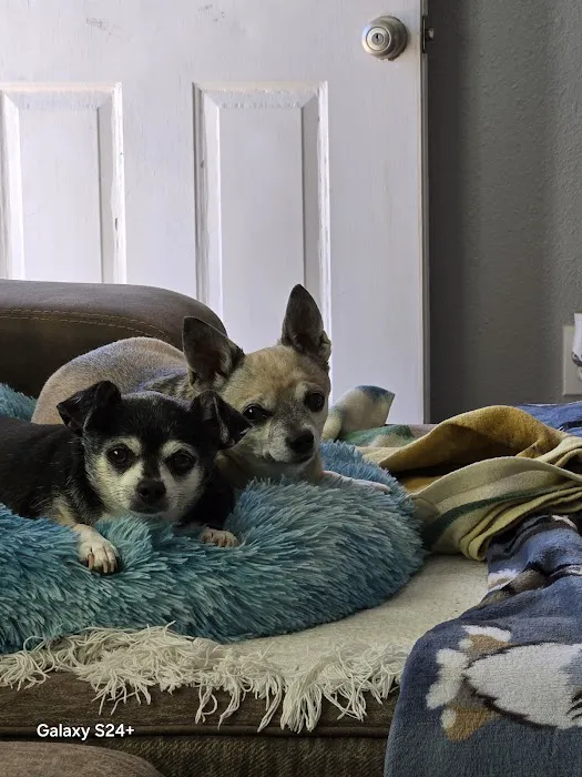 Sonoran Foothills Pet Clinic Picture 1