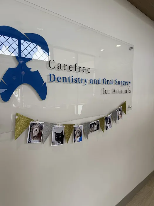Carefree Dentistry and Oral Surgery for Animals Picture 7