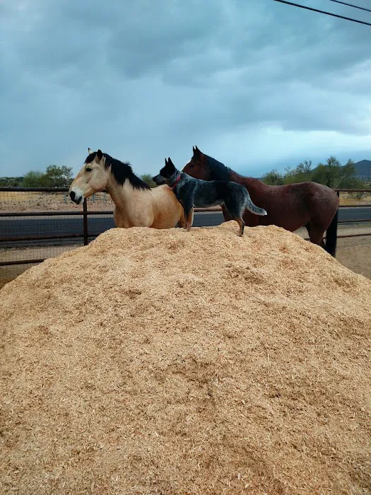 Copper Ridge Equine, LLC Picture 1