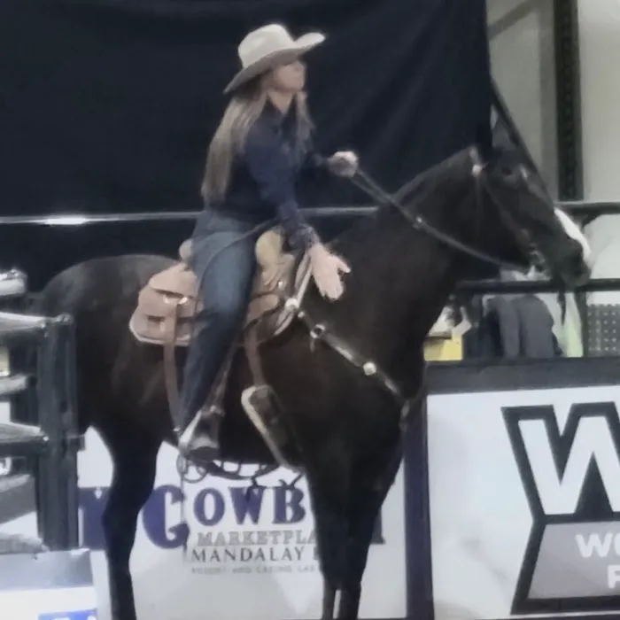 Copper Ridge Equine, LLC Picture 3