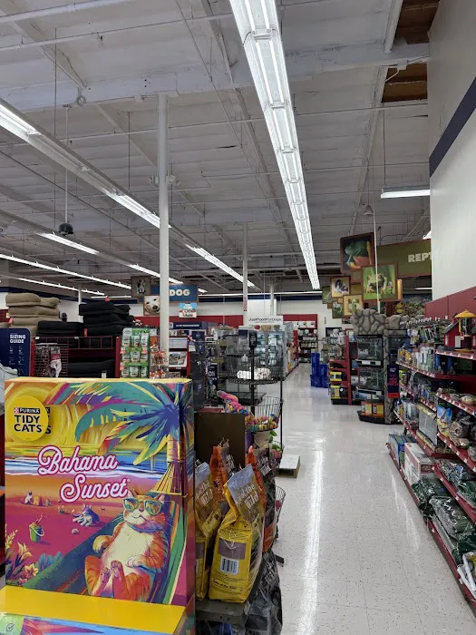 Petco Picture 2