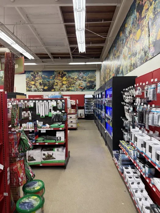 Petco Picture 1
