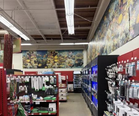 Petco