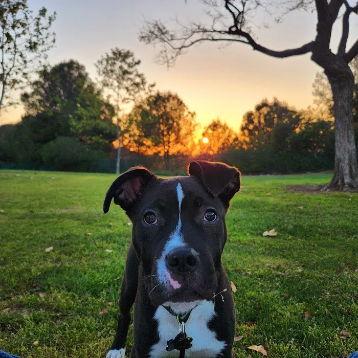 Petco Picture 4