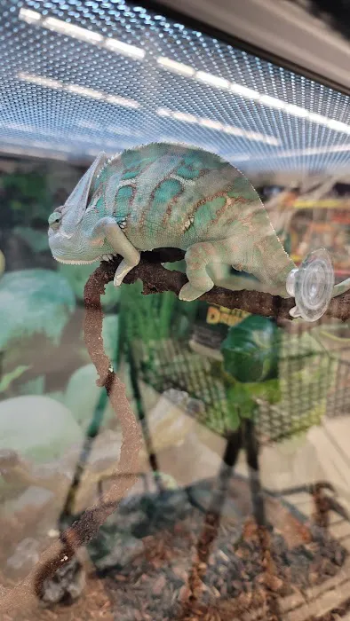 Petco Picture 8