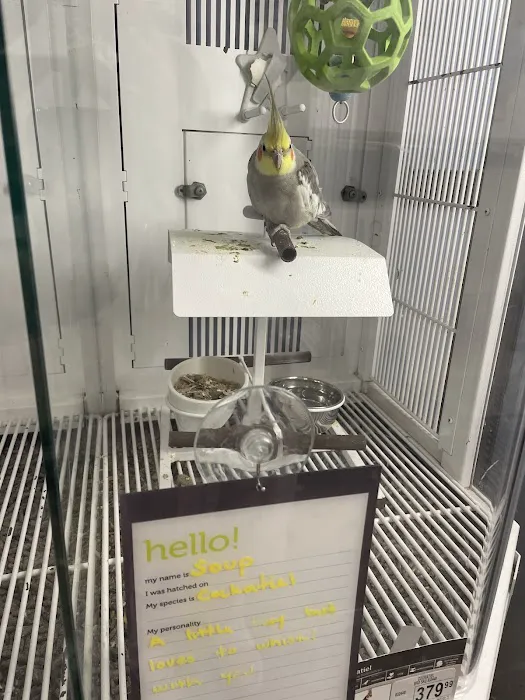 Petco Picture 5