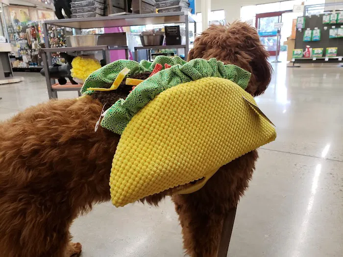 Petco Picture 8