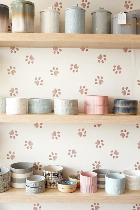 Barkers Dog Boutique Picture 5