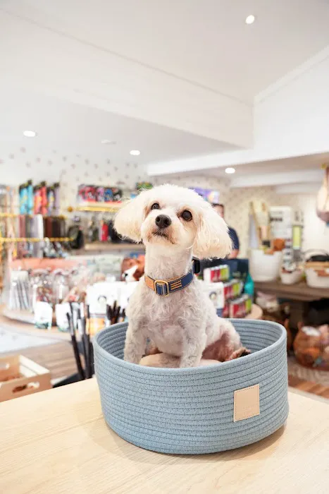 Barkers Dog Boutique Picture 7