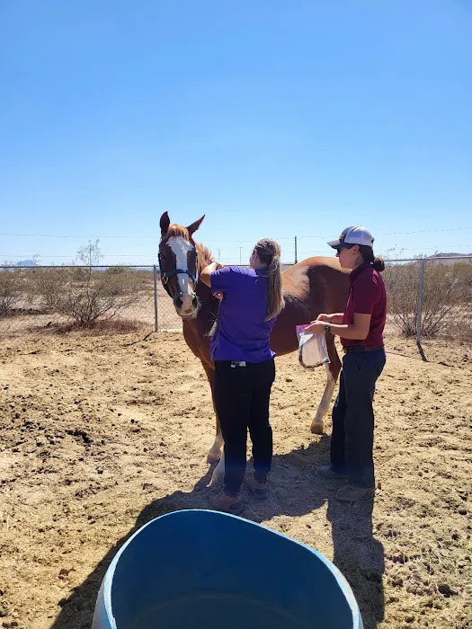 Durango Equine Veterinary Clinic Picture 2