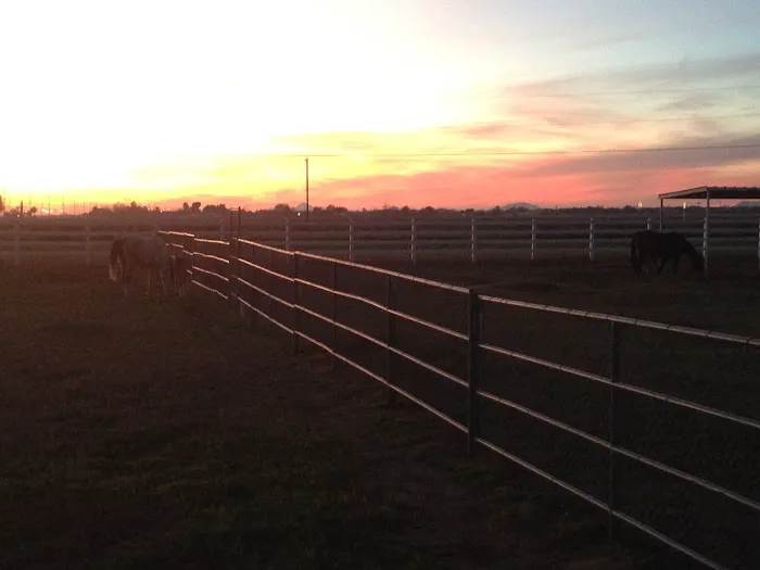 Durango Equine Veterinary Clinic Picture 8