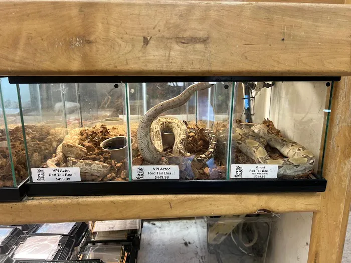 Reptile Island Picture 1