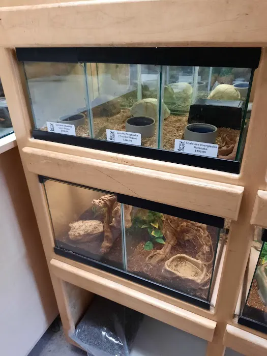 Reptile Island Picture 2