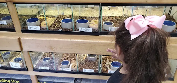 Reptile Island Picture 3