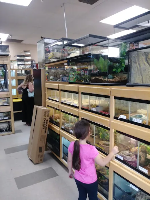 Reptile Island Picture 9