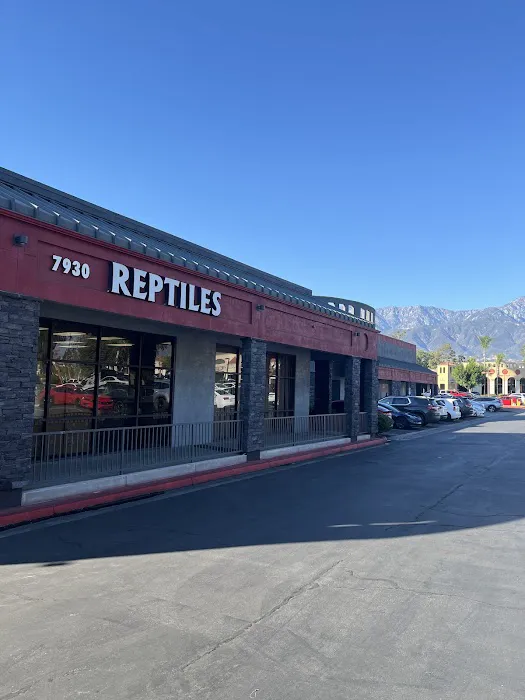 Reptile Island Picture 8