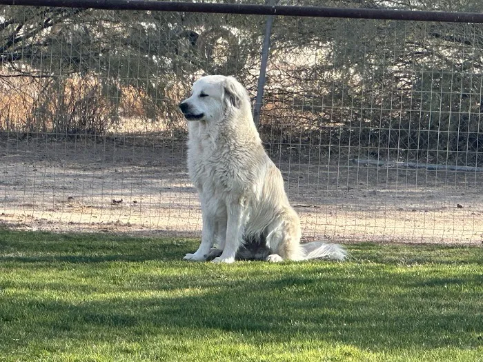 Durango Small Animal Veterinary Clinic Picture 5