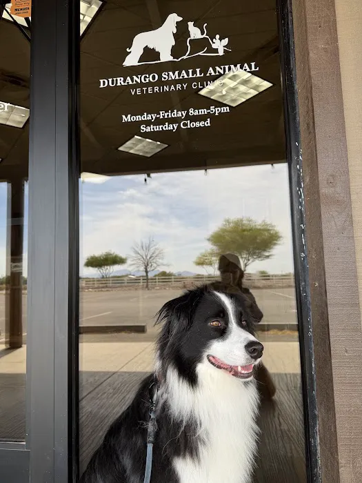 Durango Small Animal Veterinary Clinic Picture 8