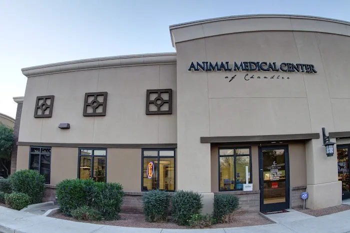 Animal Medical Center of Chandler Picture 5