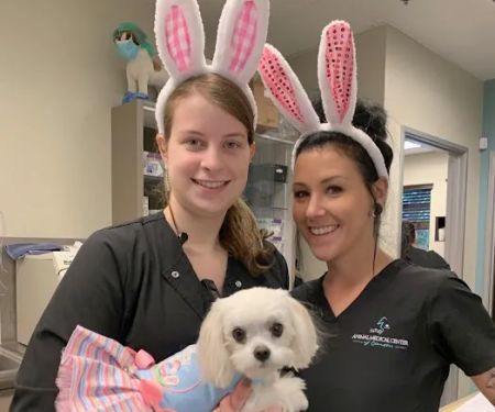 Animal Medical Center of Chandler