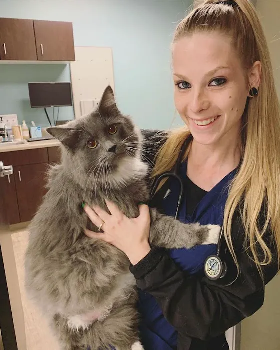 Animal Medical Center of Chandler Picture 9