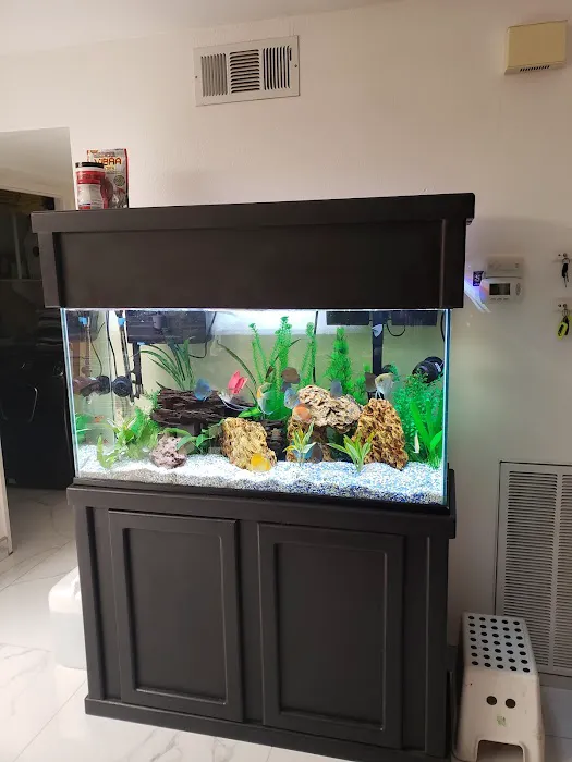 Tropical Reef Fish Store Picture 2