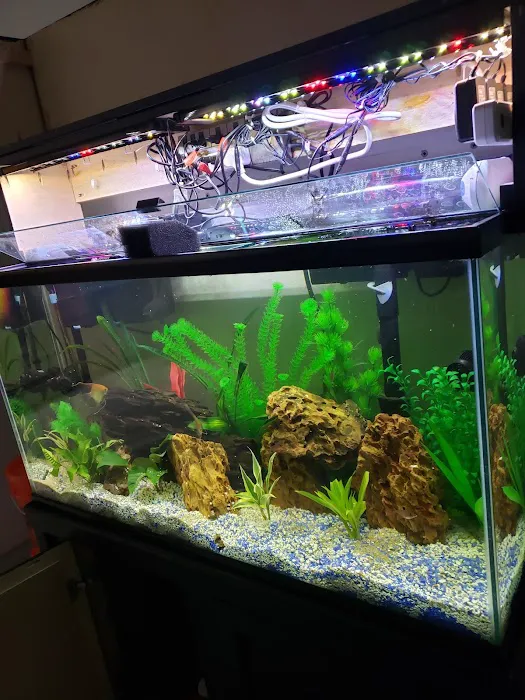Tropical Reef Fish Store Picture 1
