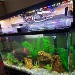Tropical Reef Fish Store