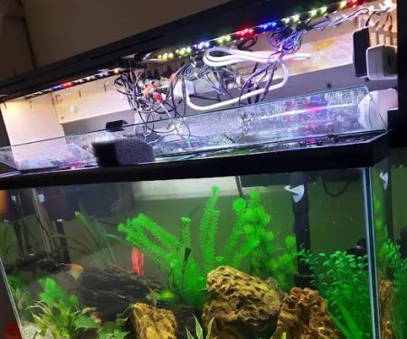 Tropical Reef Fish Store