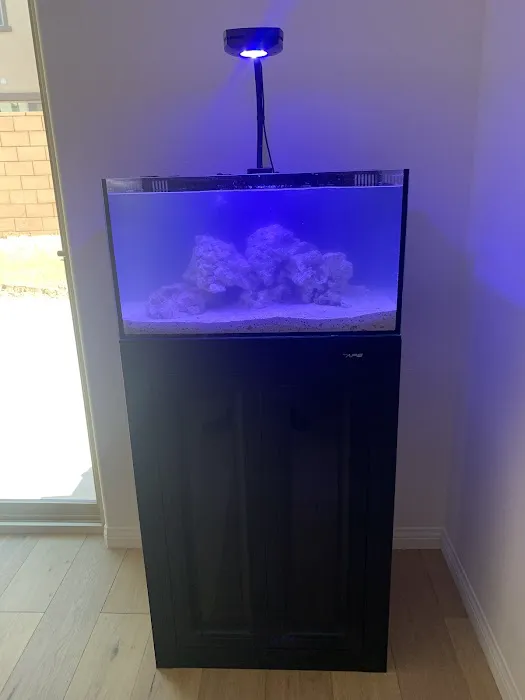 Tropical Reef Fish Store Picture 8