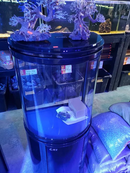 Tropical Reef Fish Store Picture 7