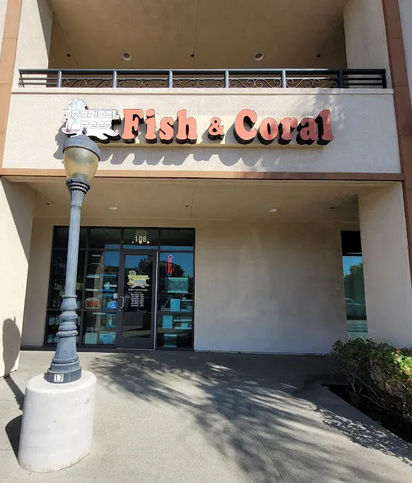 Tropical Reef Fish Store Picture 5