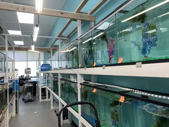 Fish World Picture 5