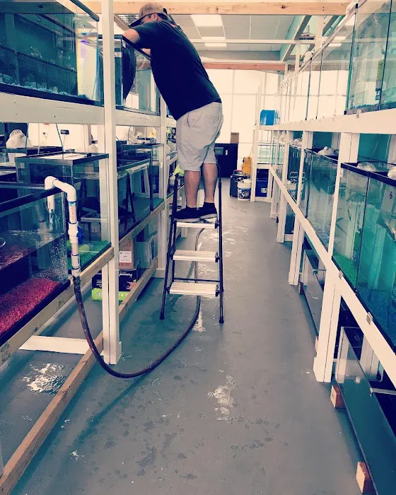 Fish World Picture 4