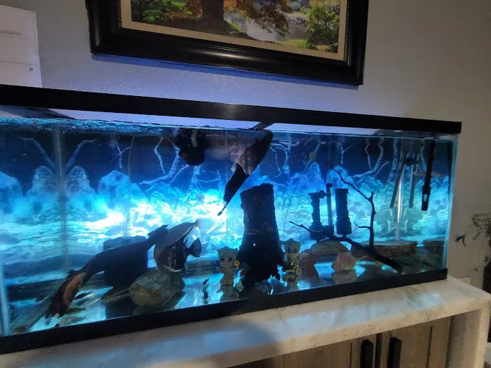 Fish World Picture 2