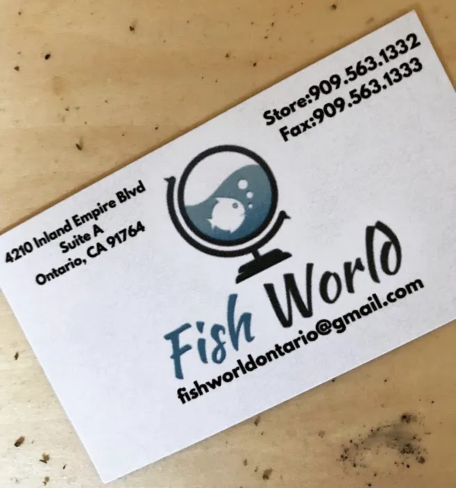 Fish World Picture 9