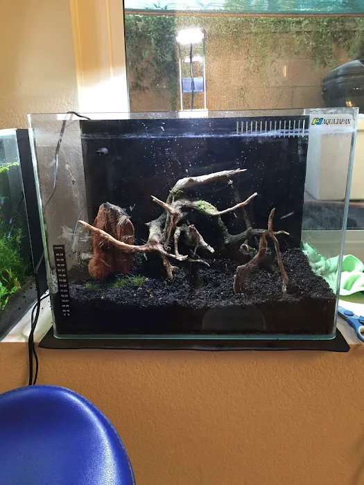 Fish World Picture 8